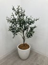 フェイクグリーン 商品画像1