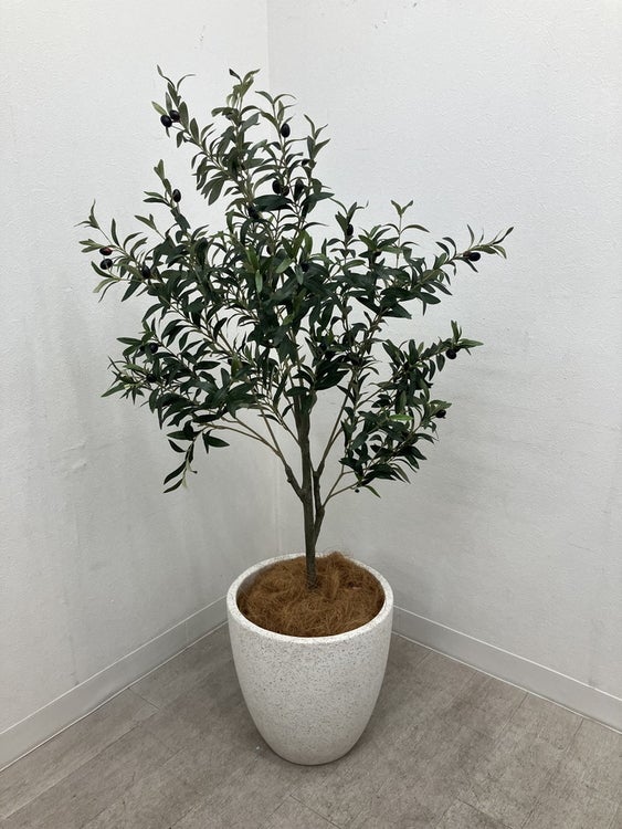 フェイクグリーン 商品画像1