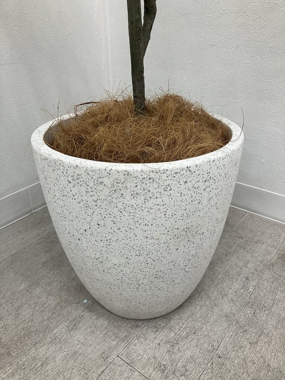 フェイクグリーン 商品画像3