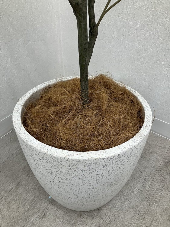 フェイクグリーン 商品画像4