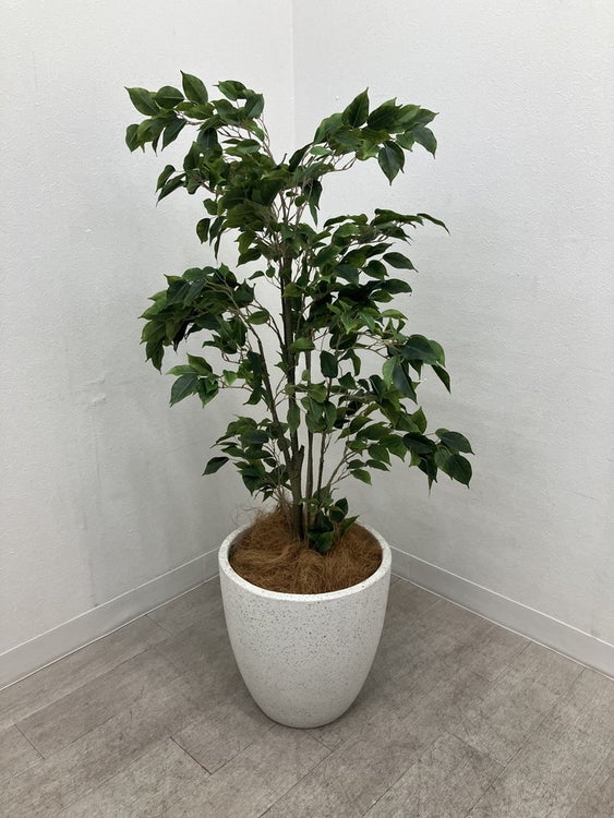フェイクグリーン 商品画像1