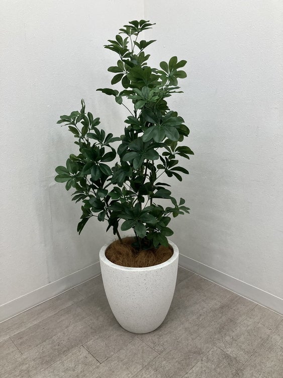 フェイクグリーン 商品画像1