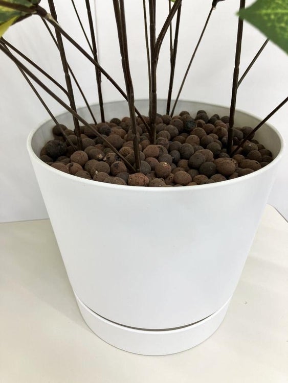 イトーキカレンシリーズ フェイクグリーン 商品画像2